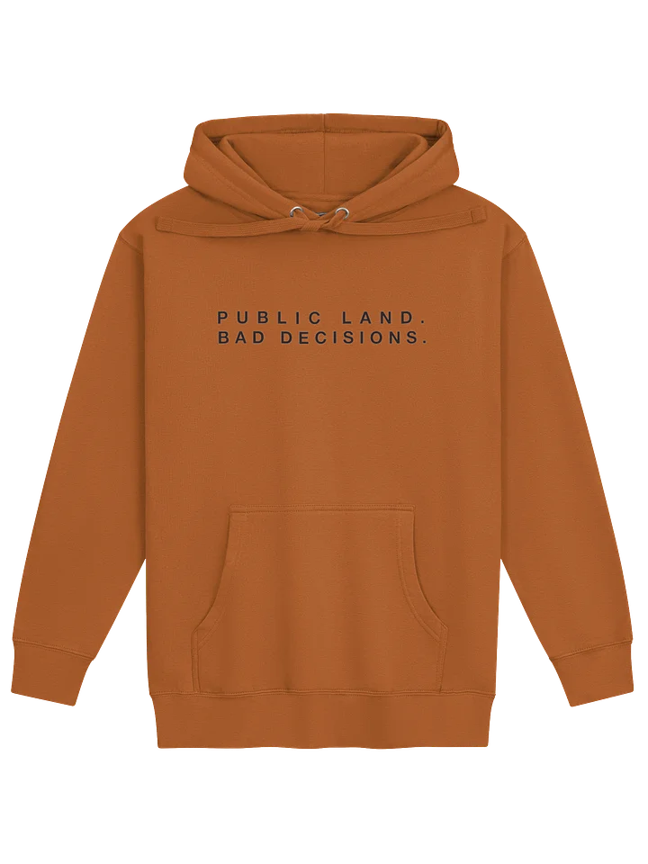 Public Land Bad Decisions Hoodie product image (2)