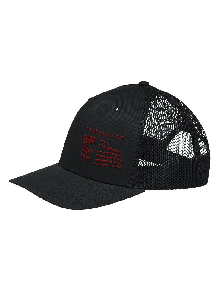 Completely Free Hat w/ American Flag product image (7)