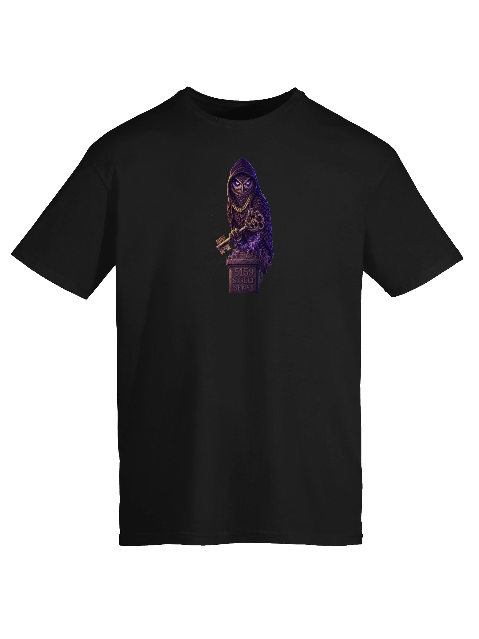 5159 Owl Key (Unisex) T-Shirt product image (9)