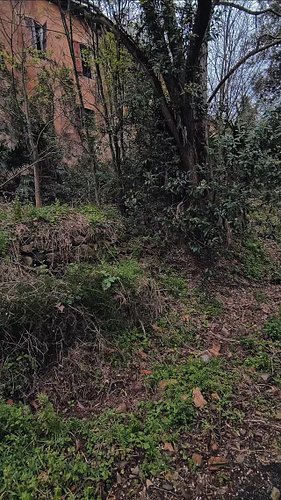 Mon esprit me dit de revenir dans ce lieu.#urbex