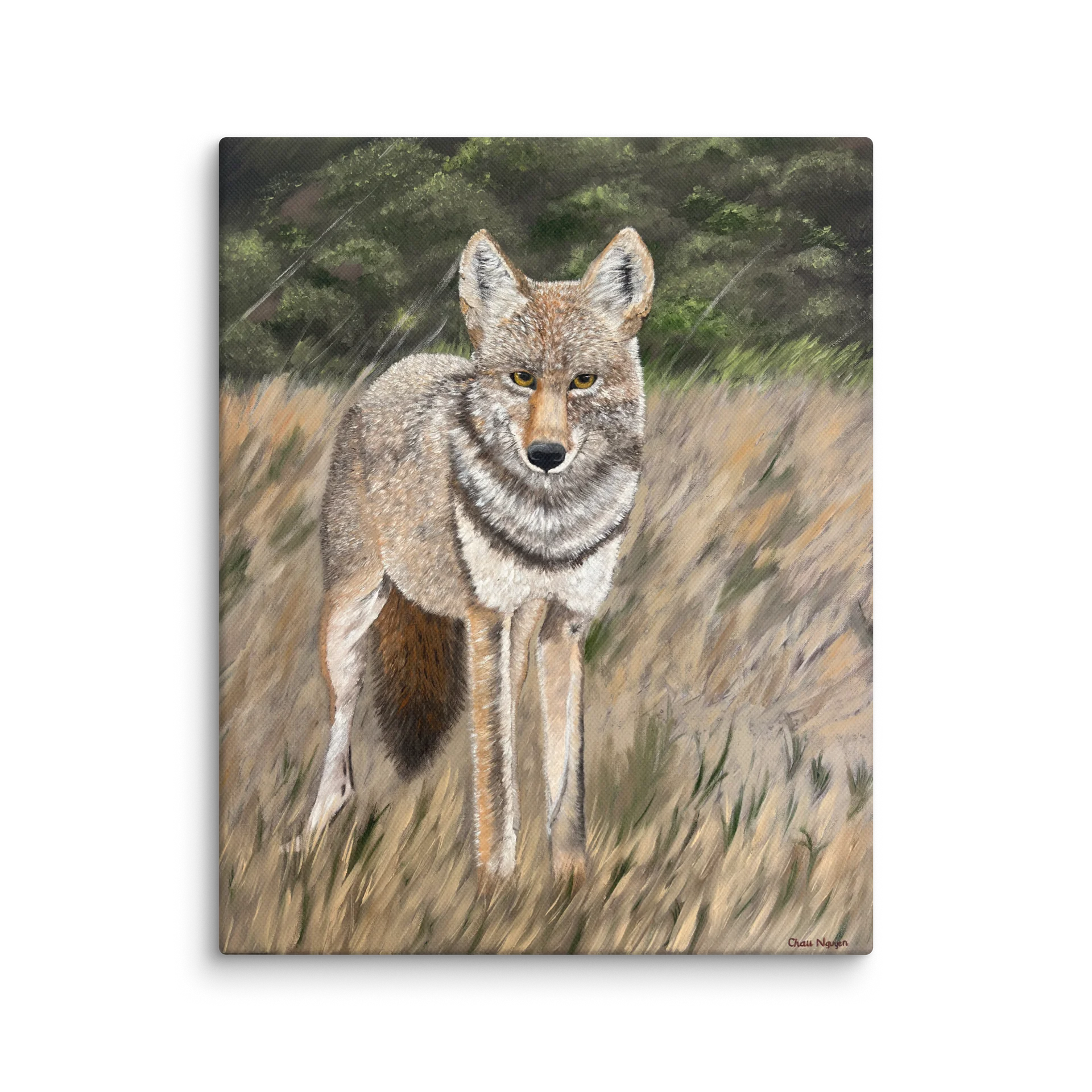 Quiet Gaze - Canvas Print product image (1)