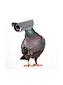 Government drone sticker