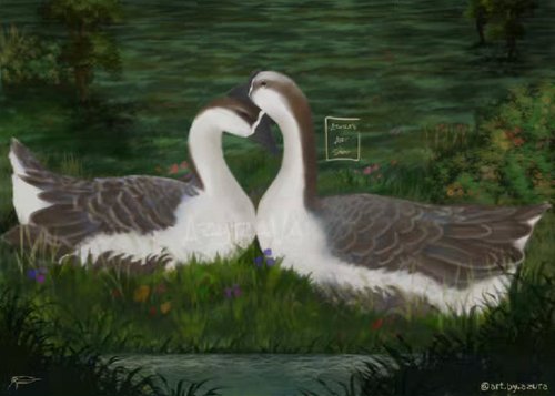 Brown Chinese Geese! Thanks @floofroan for the suggestion! I'm working my way down the list, and next up is a pigmy owl :) 

...