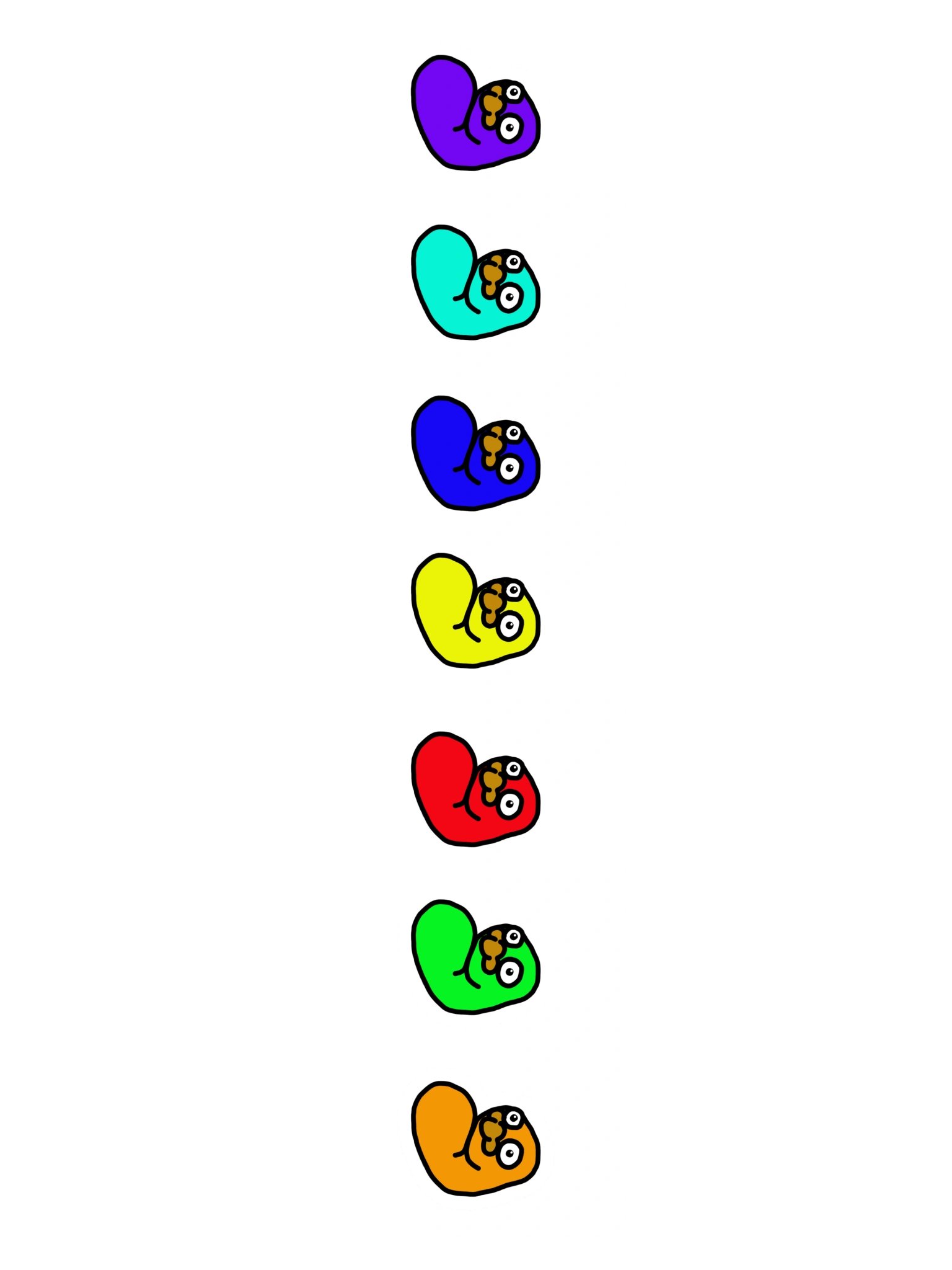 Color Beans product image (3)
