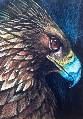 Check out ACEO Print Watercolor Original Golden Eagle Bird Artwork by Char Reed, the latest item I added on eBay! #eBay #eBay...