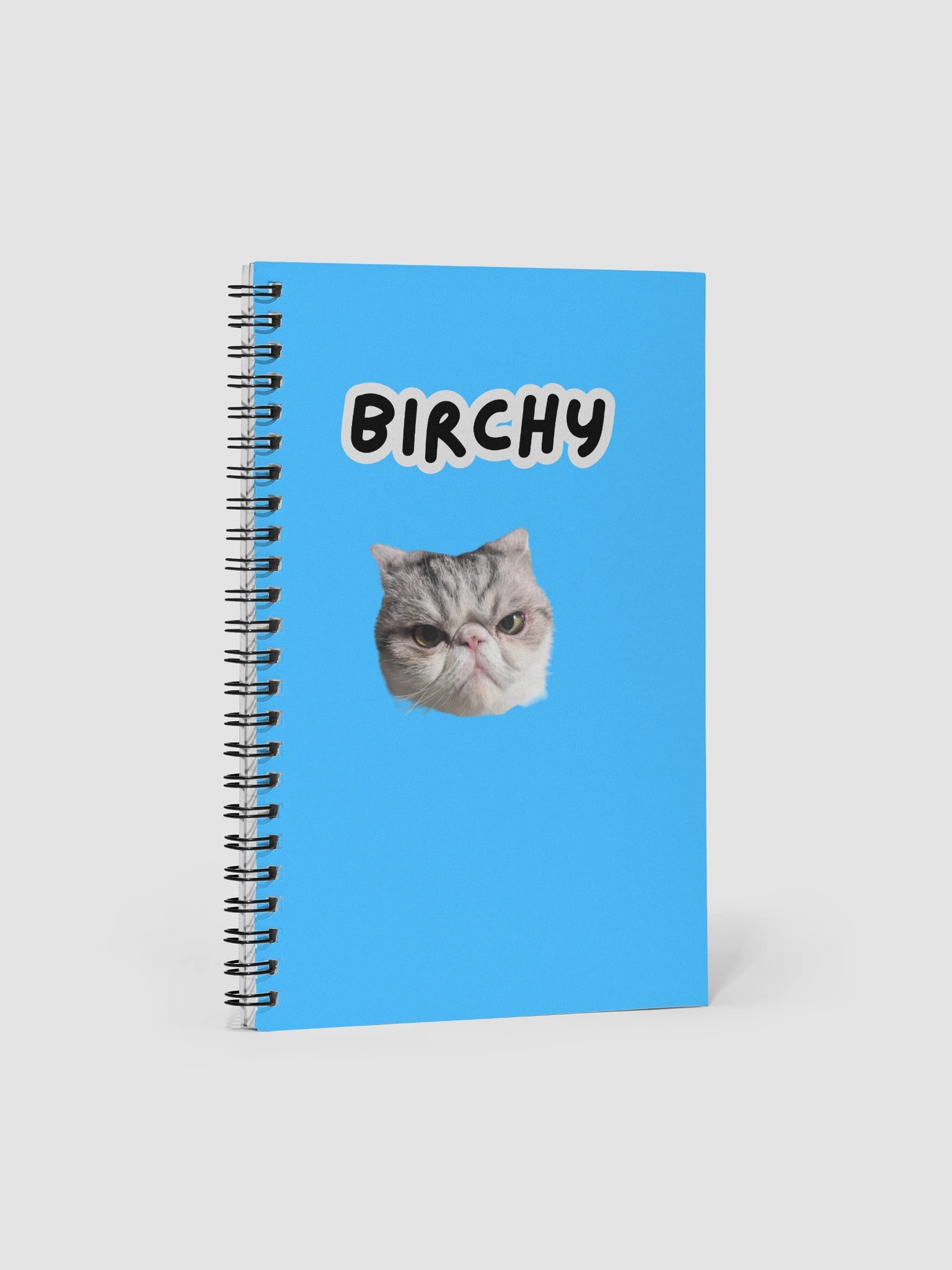 Birchy Notebook product image (1)