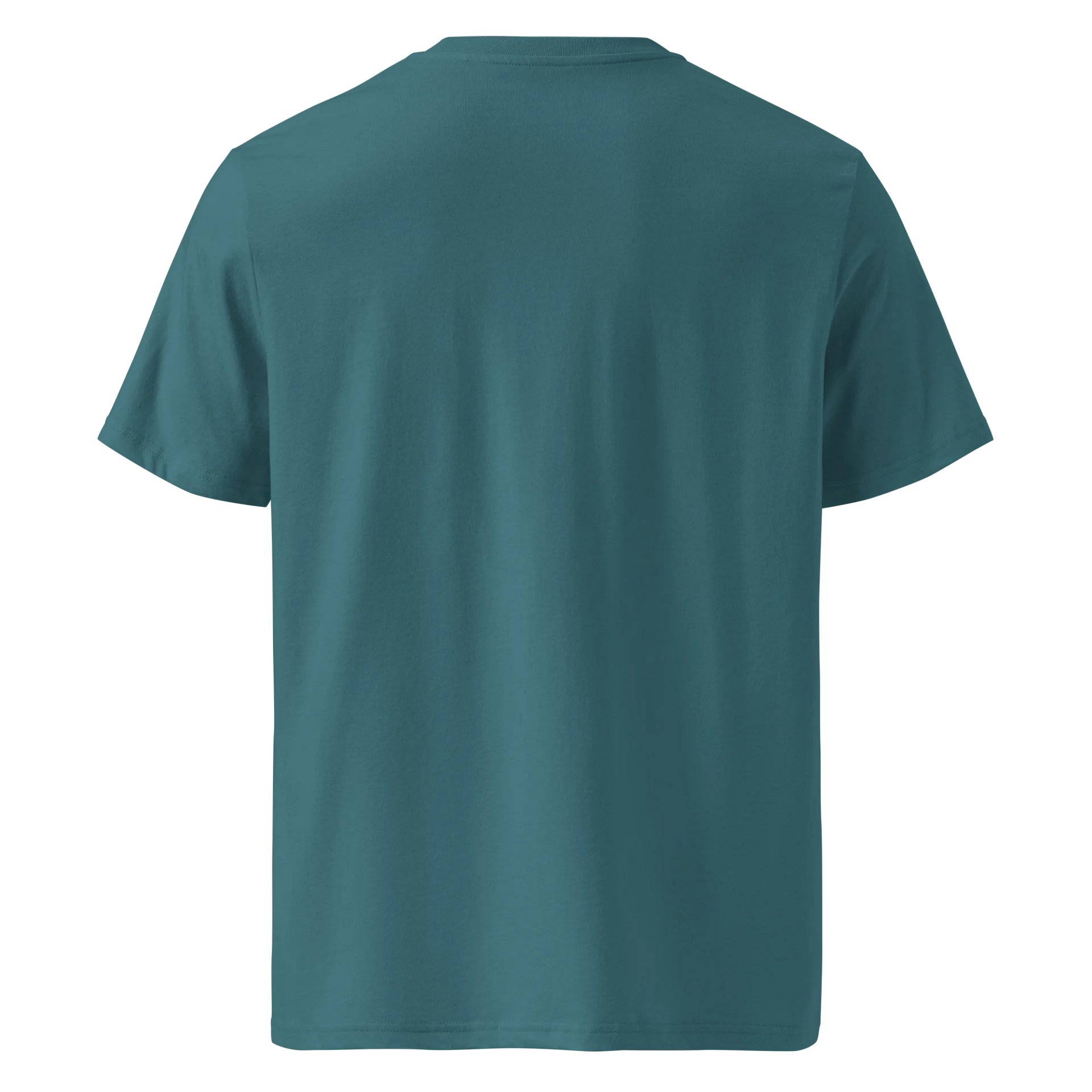 Domestique shirt product image (4)