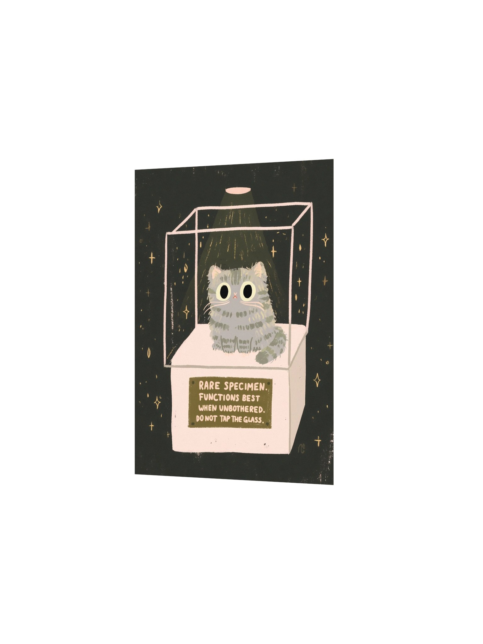 Rare Specimen Cat Poster product image (10)