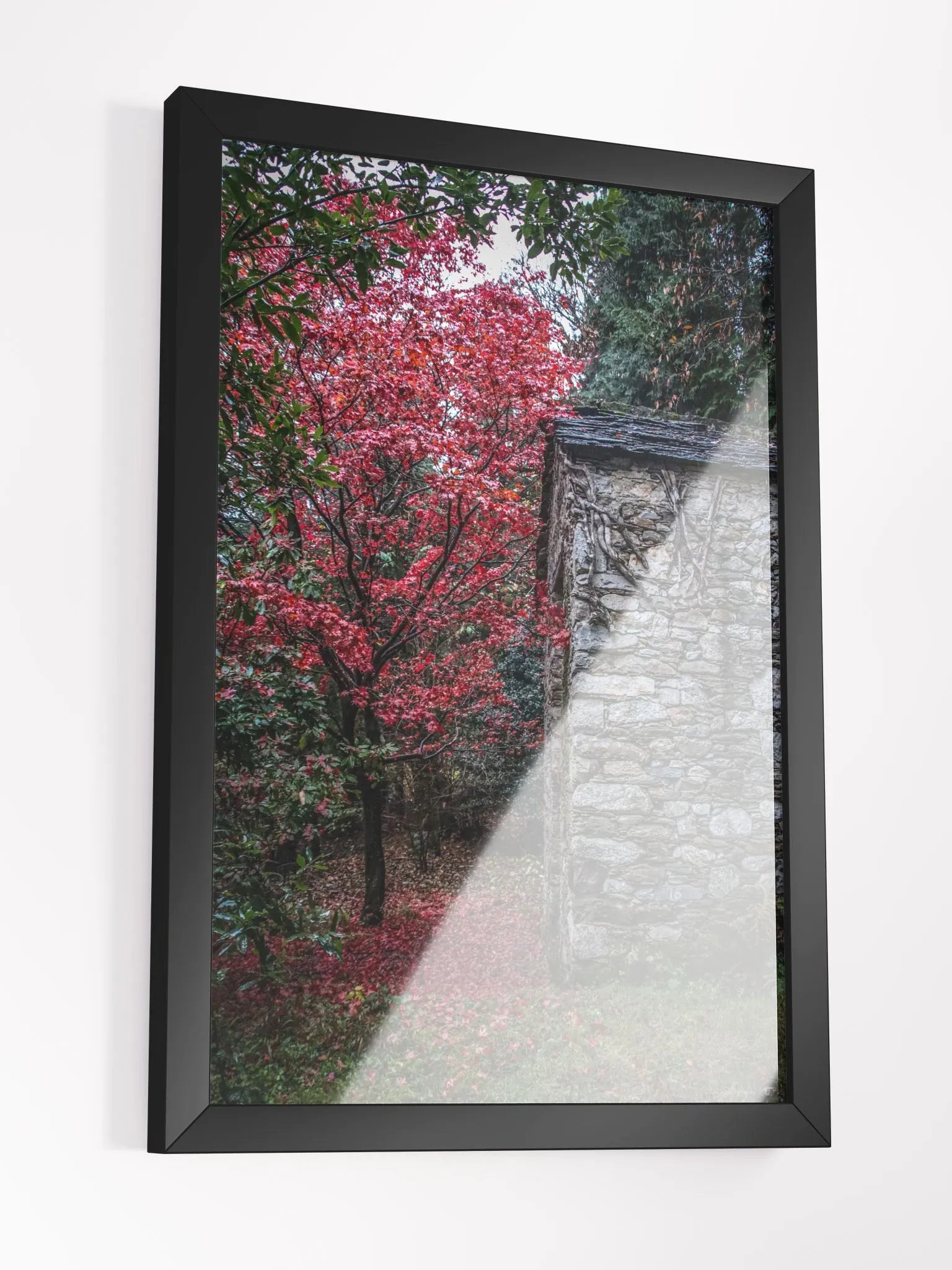 Print Fine Art - Fine Art - The Forgotten Sanctuary product image (6)