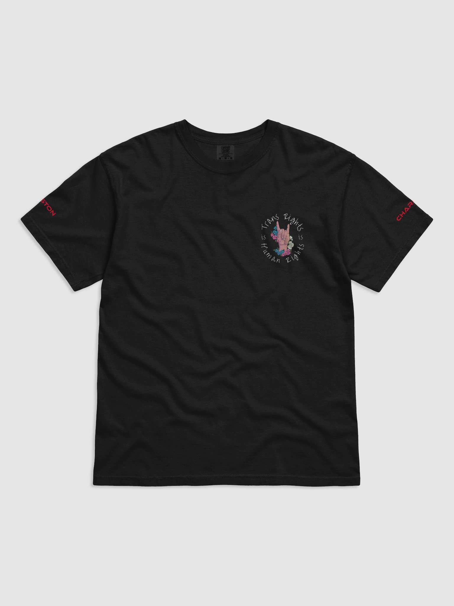 Trans Rights T-Shirt product image (3)