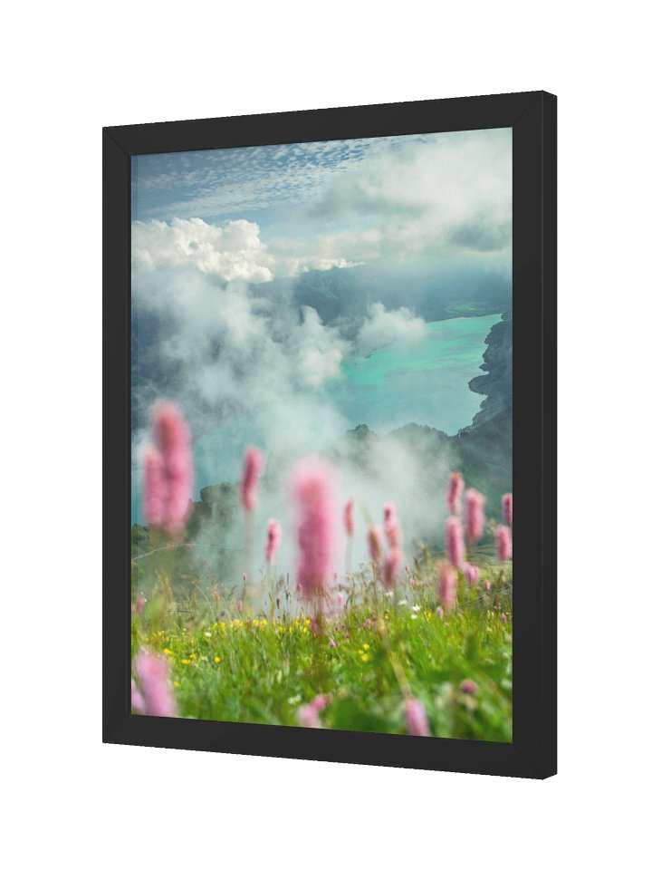Brienzer Rothorn with Knöterich product image (5)