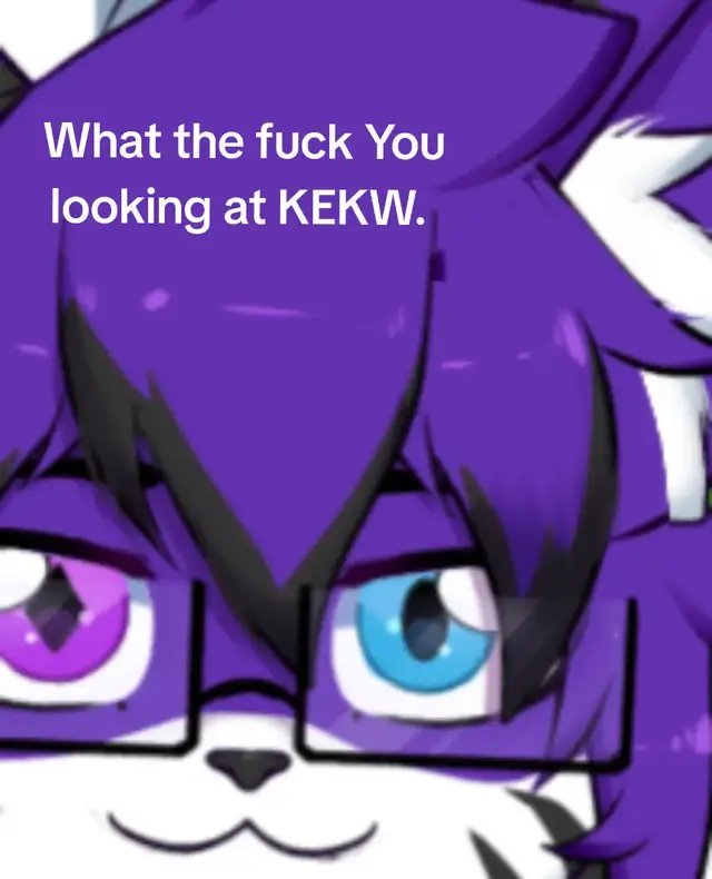 I'm curouis what are you looking at.  And no u cant lie. #live2d #twitch #furry #chill #whatthefuck 