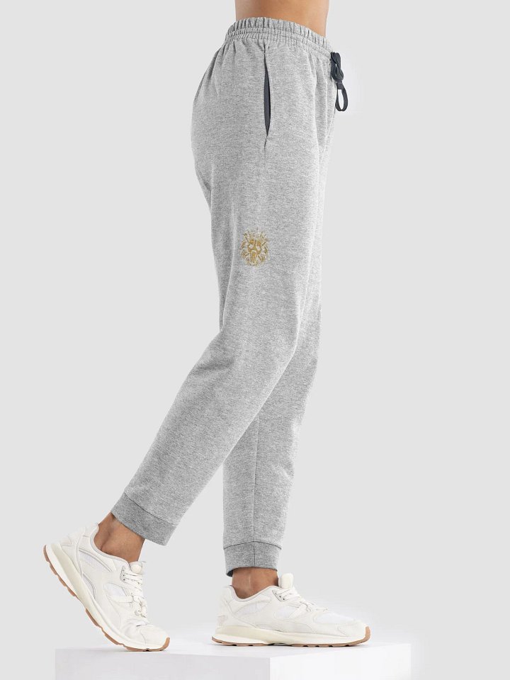 VikingNilsen Crimson Fleet Joggers - Grey product image (2)