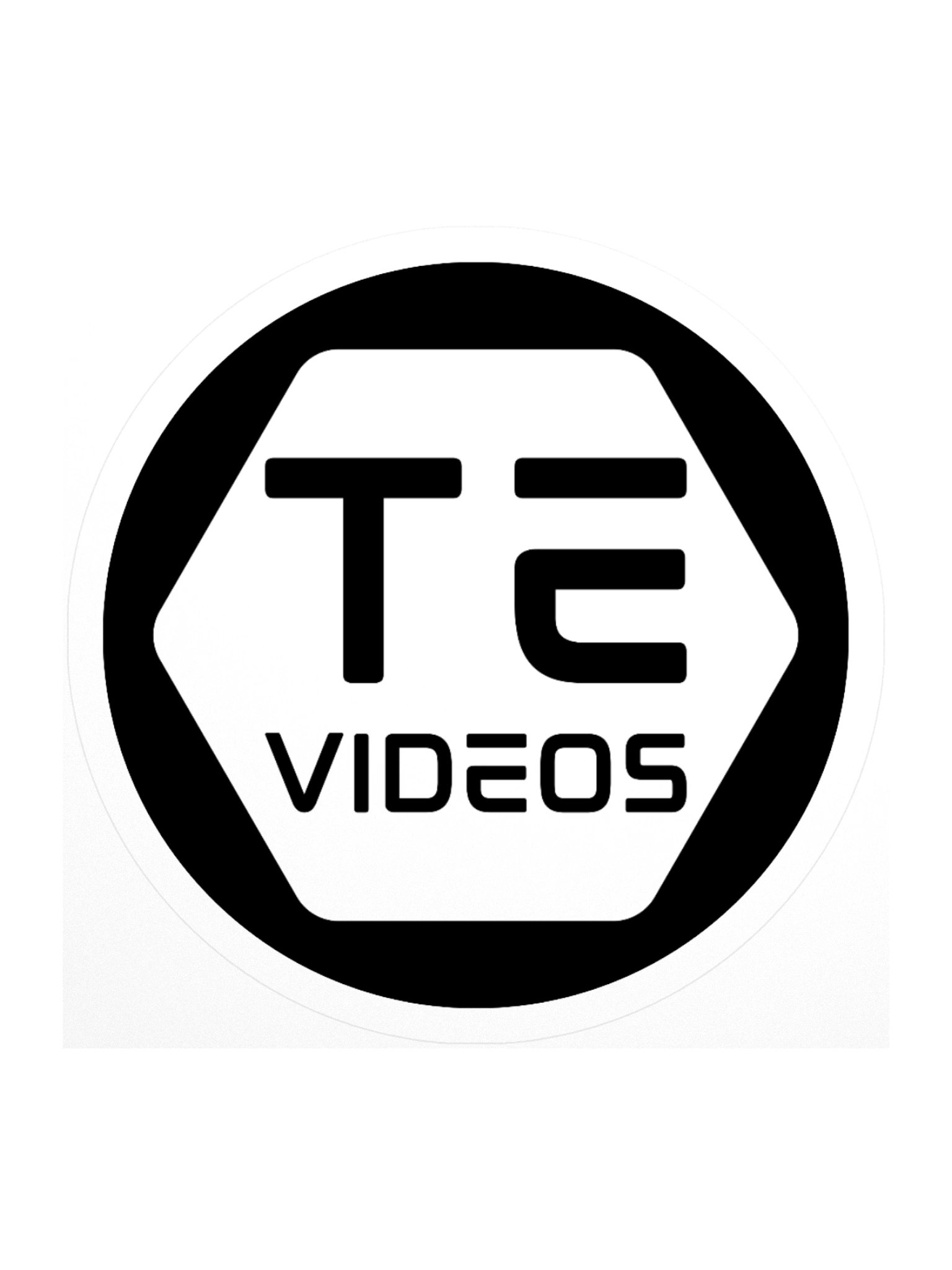 TE Logo Sticker - Black product image (1)