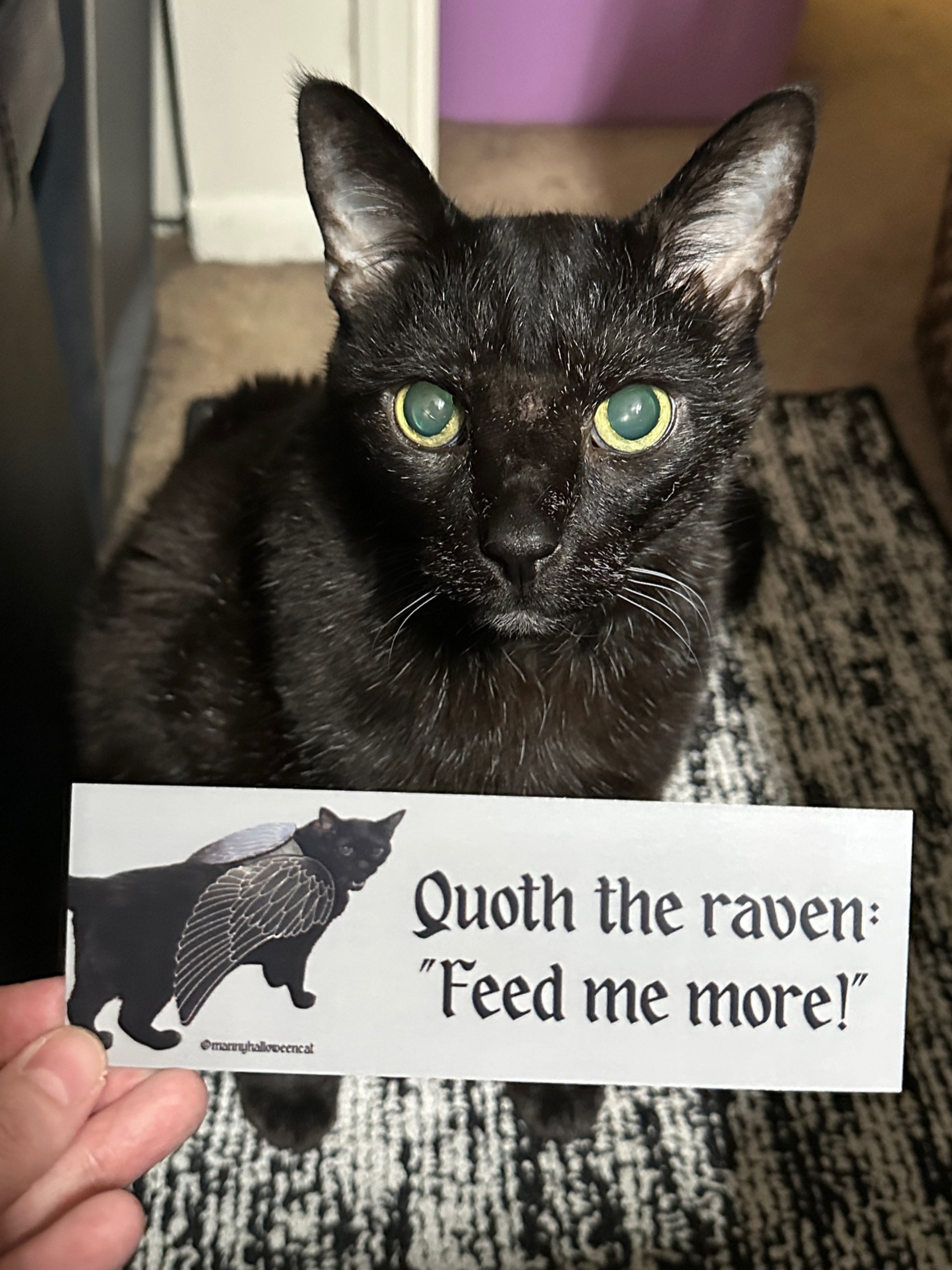 The Raven double-sided bookmark product image (1)