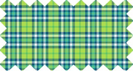 Lime Green and Turquoise Plaid (CO21)