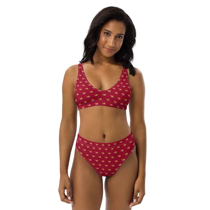 MSLA Red High Waisted Bikini product image (2)