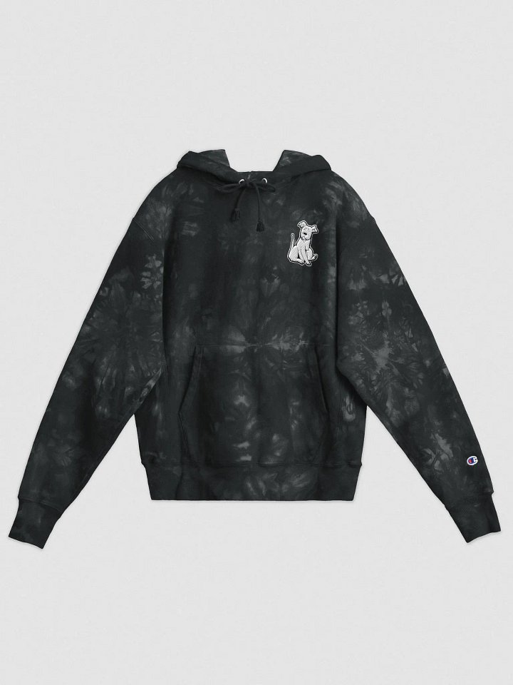 Champion Marni Hoodie product image (1)