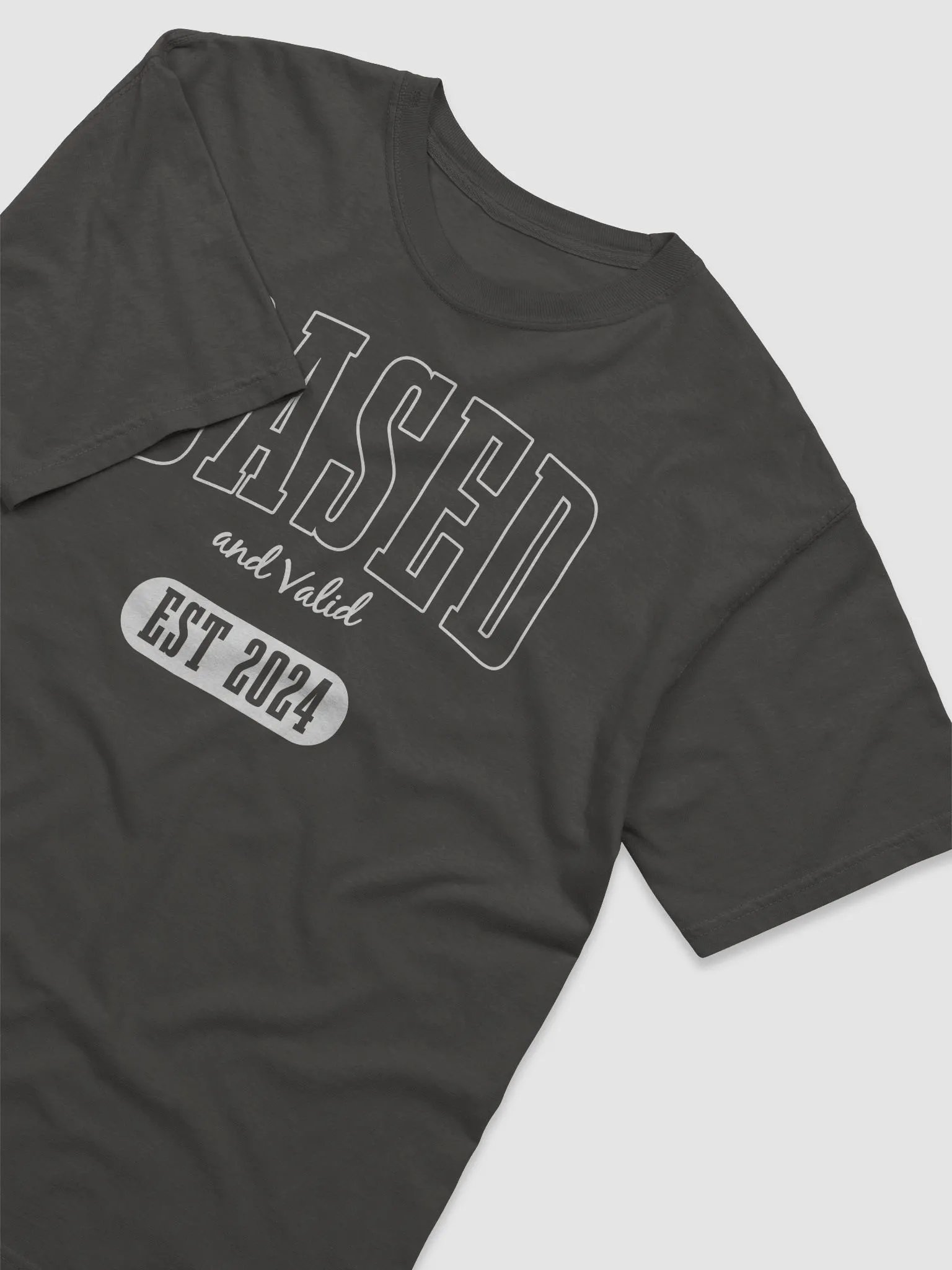 Based and Valid Shirt - Charcoal Gray product image (3)
