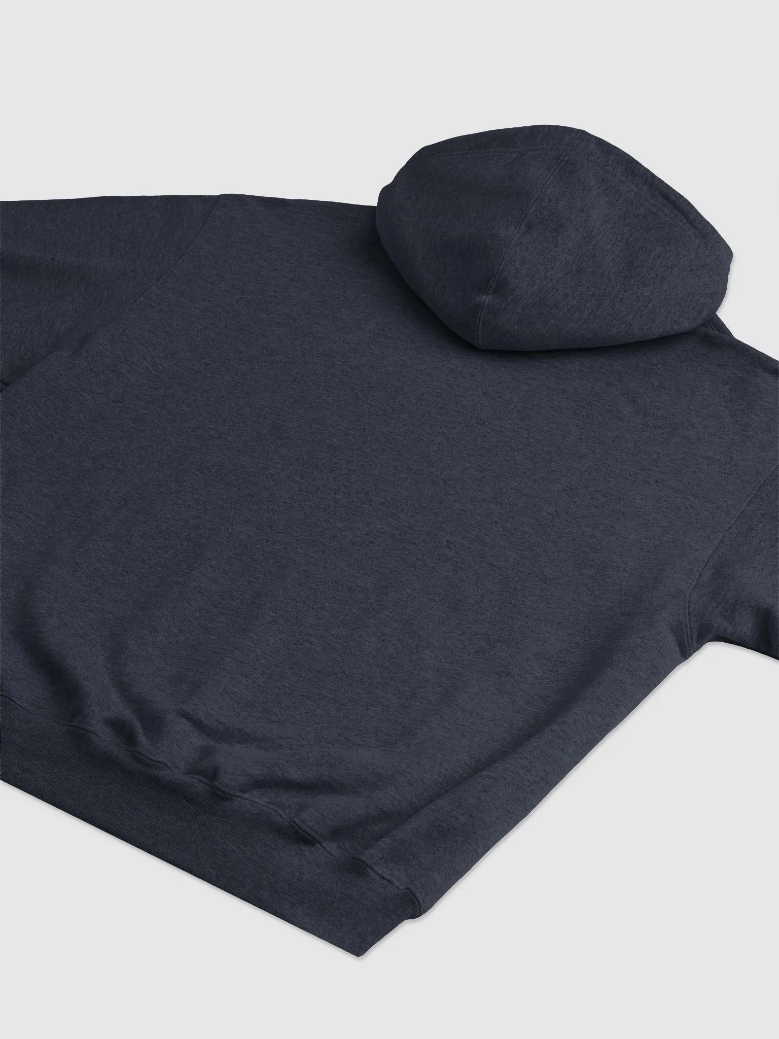 Champion Embroidered Hoodie (Heavyweight Fabric) product image (5)
