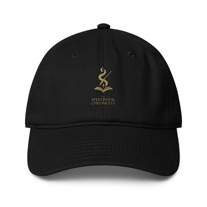 The Spellbook Chronicles Cap product image (1)