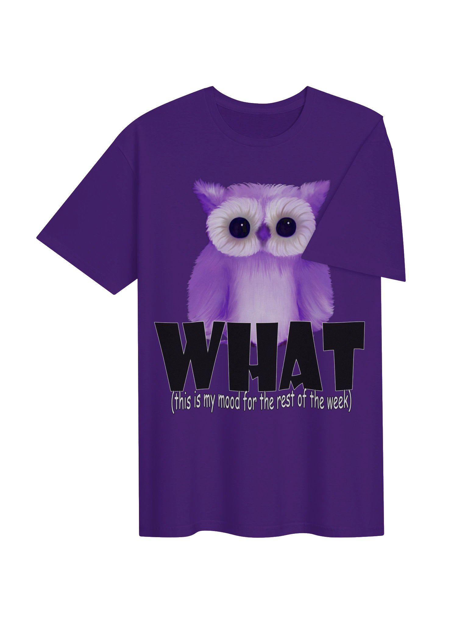 Owl "WHAT" T-Shirt. Unisex Gildan Softstyle T-Shirt product image (4)
