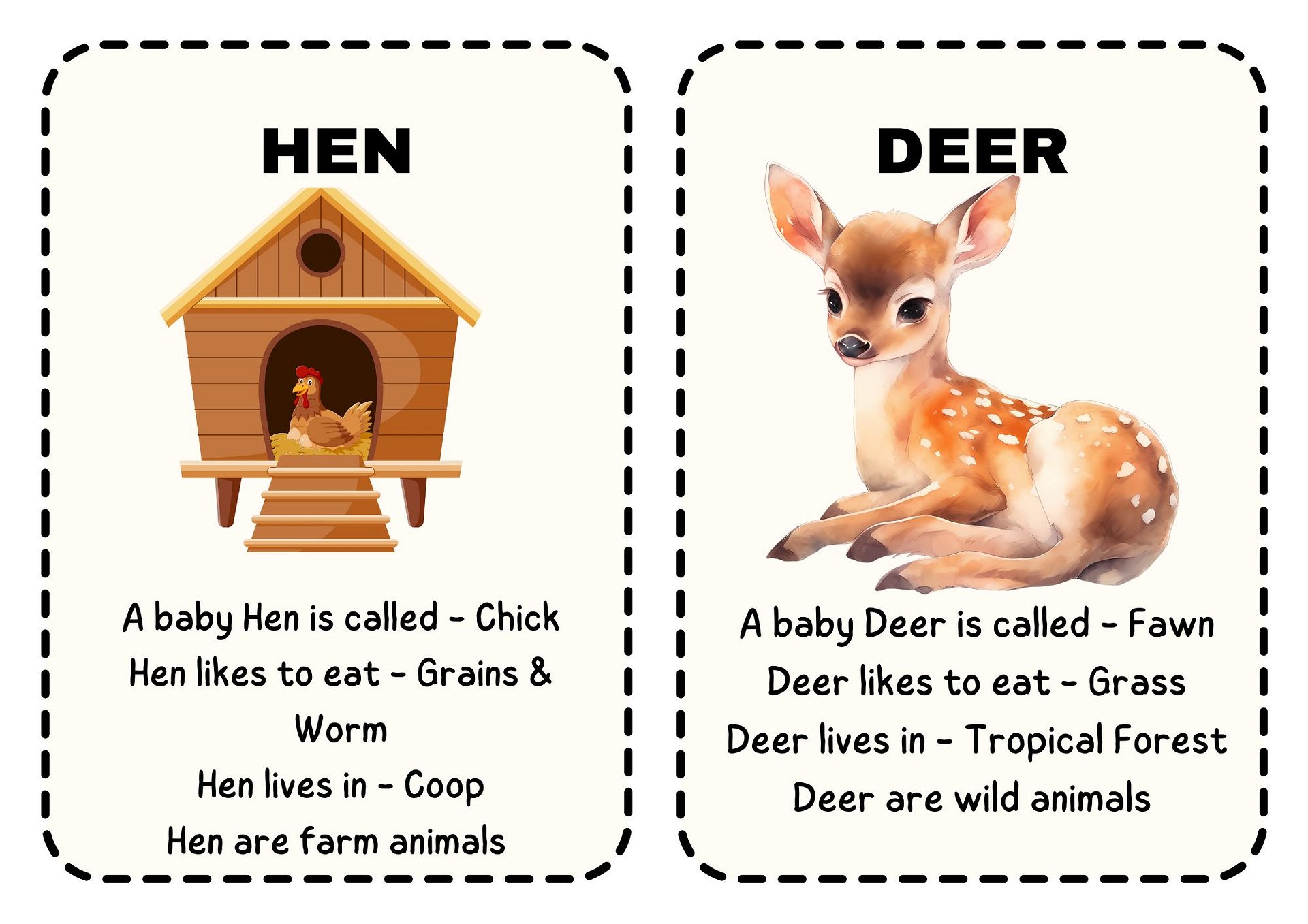 Learn to Read - Animal Flashcards product image (4)
