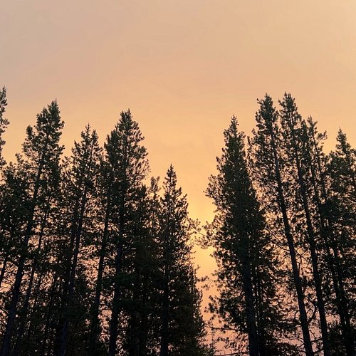 There is always a last evening. The tour doesn't end when you get home. It ends here, in the warm light over the pines, befor...