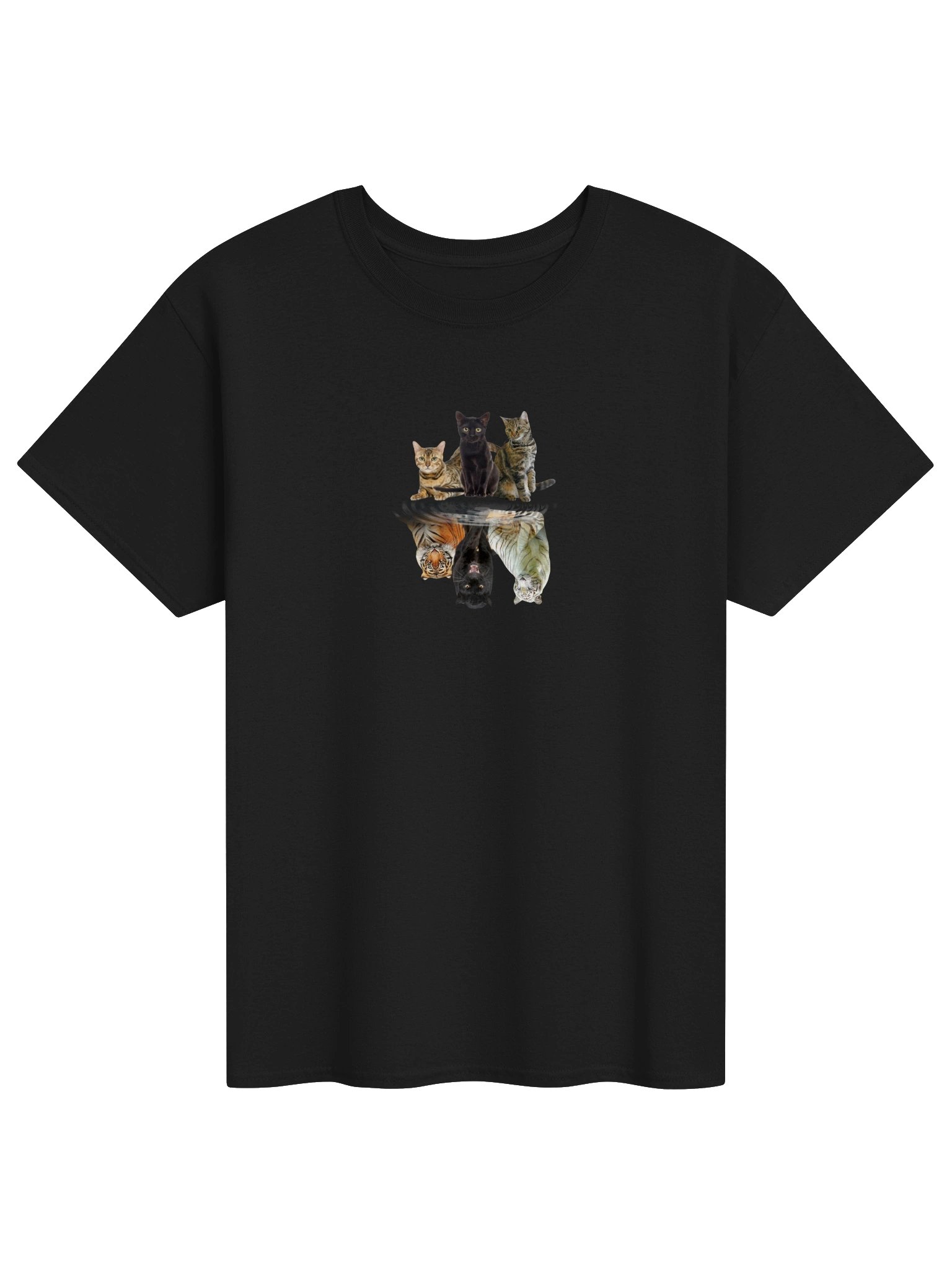 wdeefdrfvdsfv product image (1)
