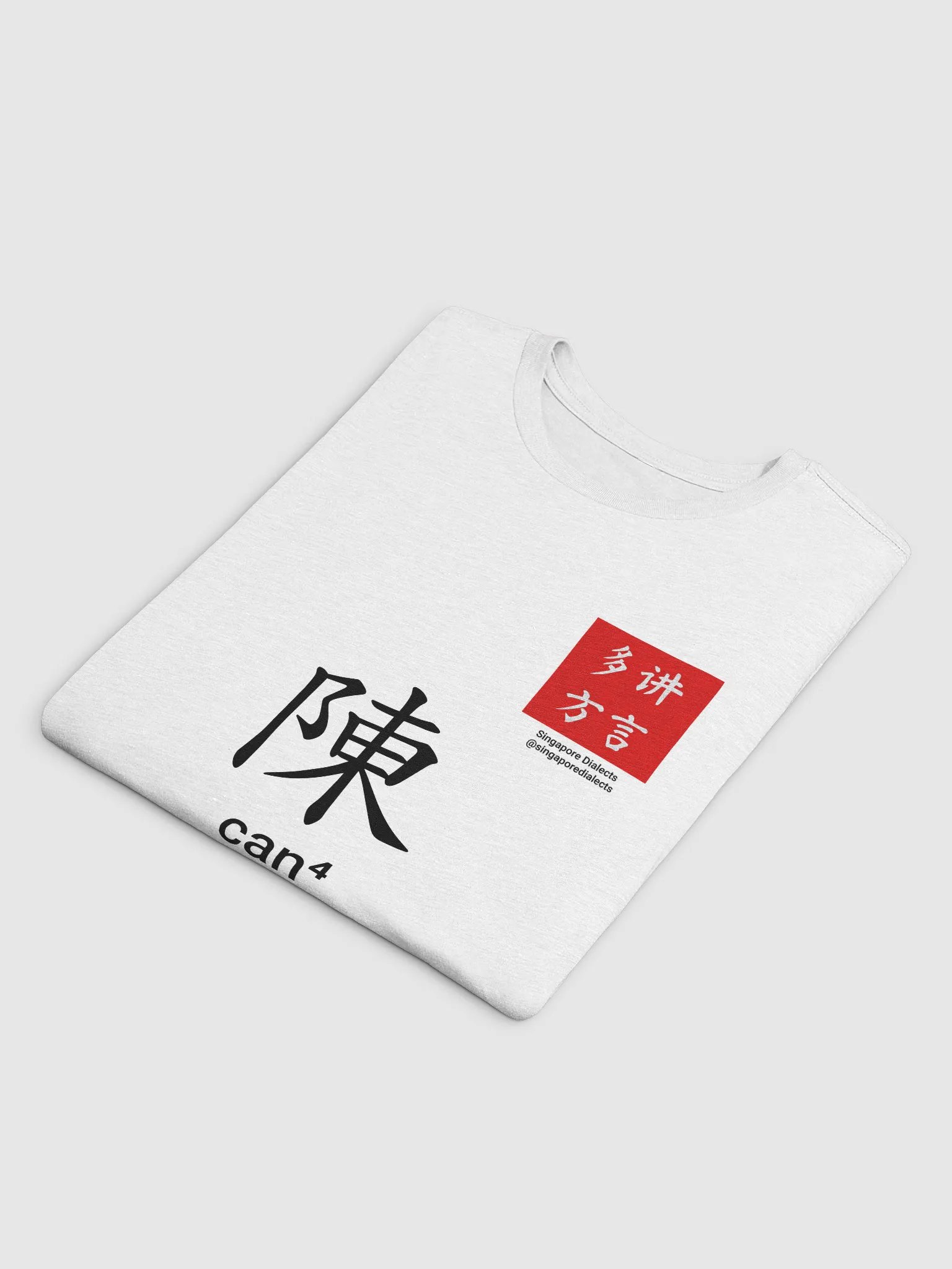 陈 Chan (Cantonese) Surname T-Shirt (Light) product image (4)