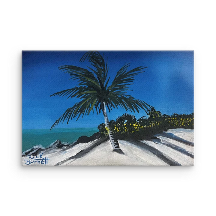 Rick Burnett Fort Zach Beach Thin Canvas Print product image (2)