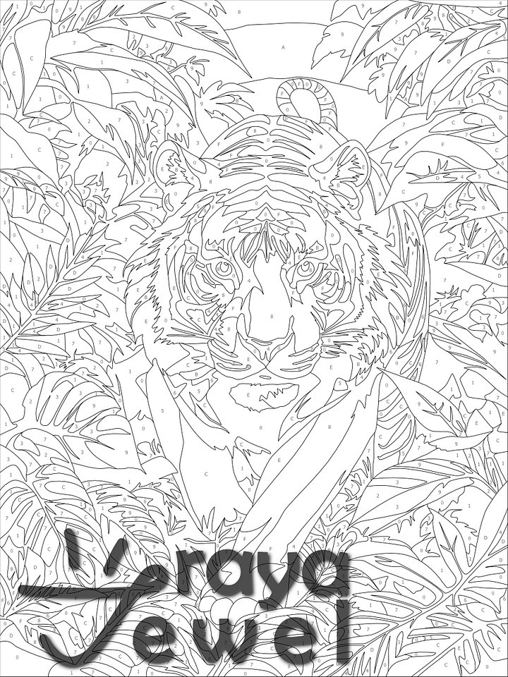 Tiger! Color by Number Coloring Page product image (2)