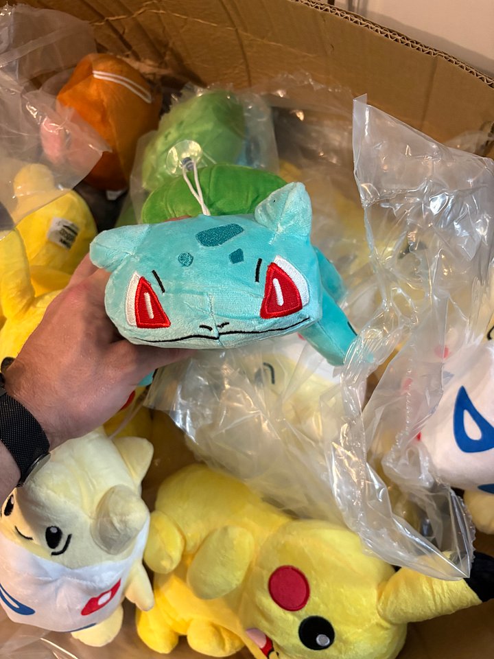 Bulbasaur Pokemon Plush 20cm product image (2)
