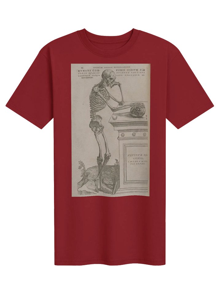 "Skeleton Pondering Mortality" by Andreas Vesalius. product image (1)