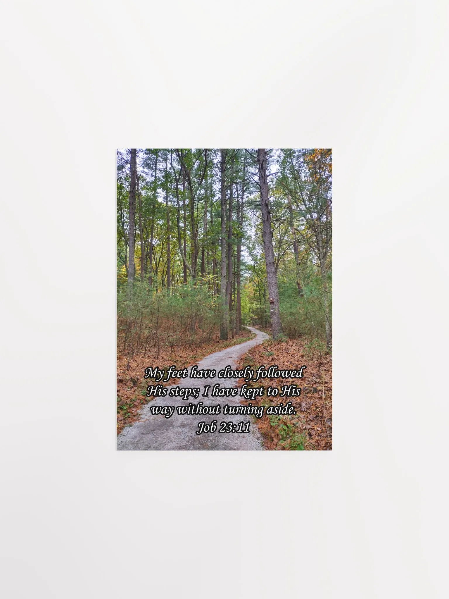My Feet Have Followed His Steps - Print product image (1)