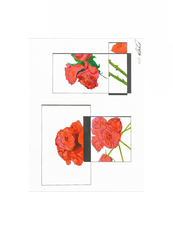 Geometric Rose Garden Poster(Landscape) product image (1)