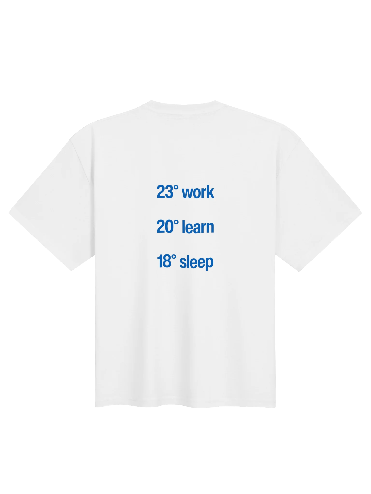 Optimal Temperatures Oversized Tee product image (4)