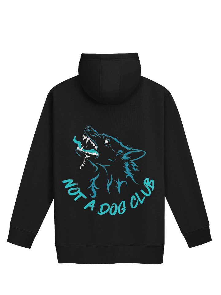 Not A Dog Club Hoodie - Teal Edition product image (1)