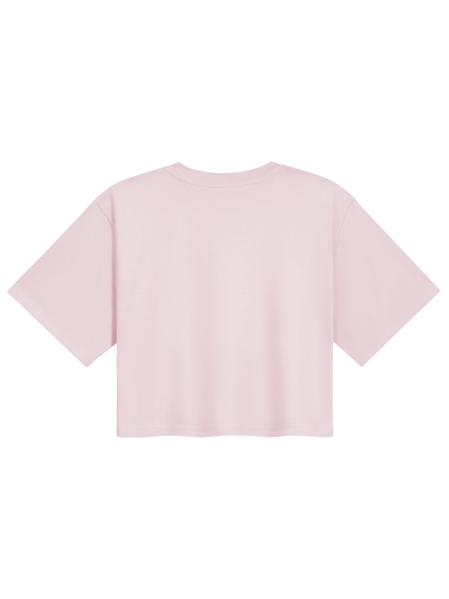 2P Fishing Charter Crop Tee product image (8)