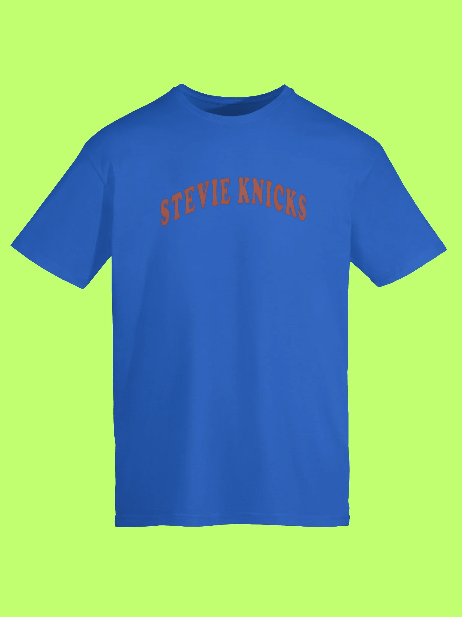 Taylor Swift Knicks Shirt – Funny Stevie Knicks Graphic Tee for Music and Basketball Fans product image (2)