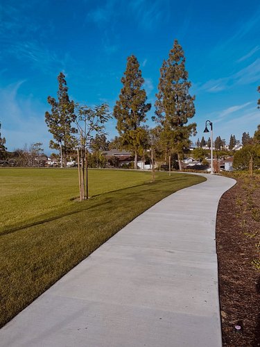 Carpe Diem! Good morning! #socal #morning #getoutside #carpediem #walking