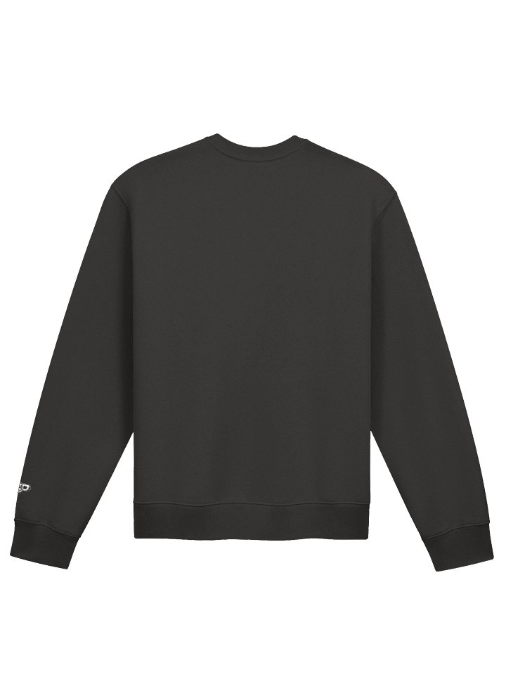 2P Oversized Sweatshirt product image (4)