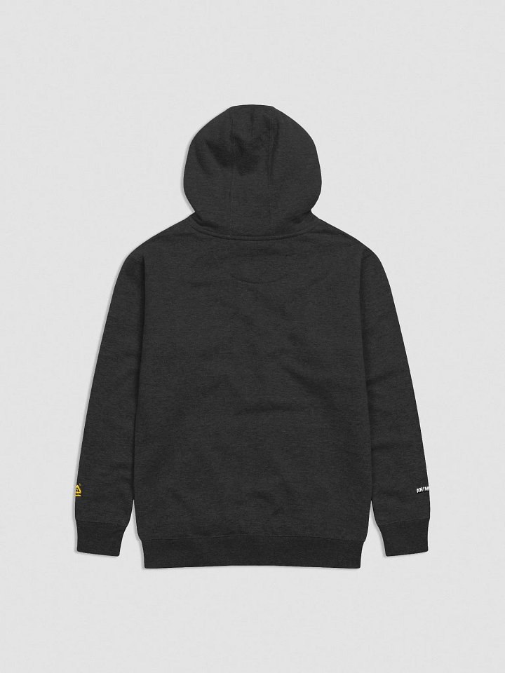 Embroidered Anima Alumini Text Hoodie! product image (17)