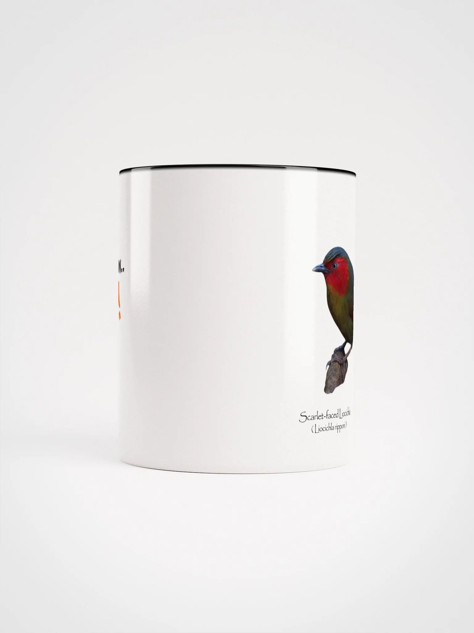 Scarlet-faced Liocichla mug product image (50)