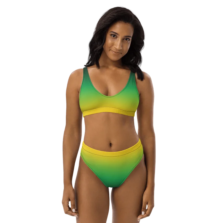 Jamaica Gradient Swimwear product image (2)
