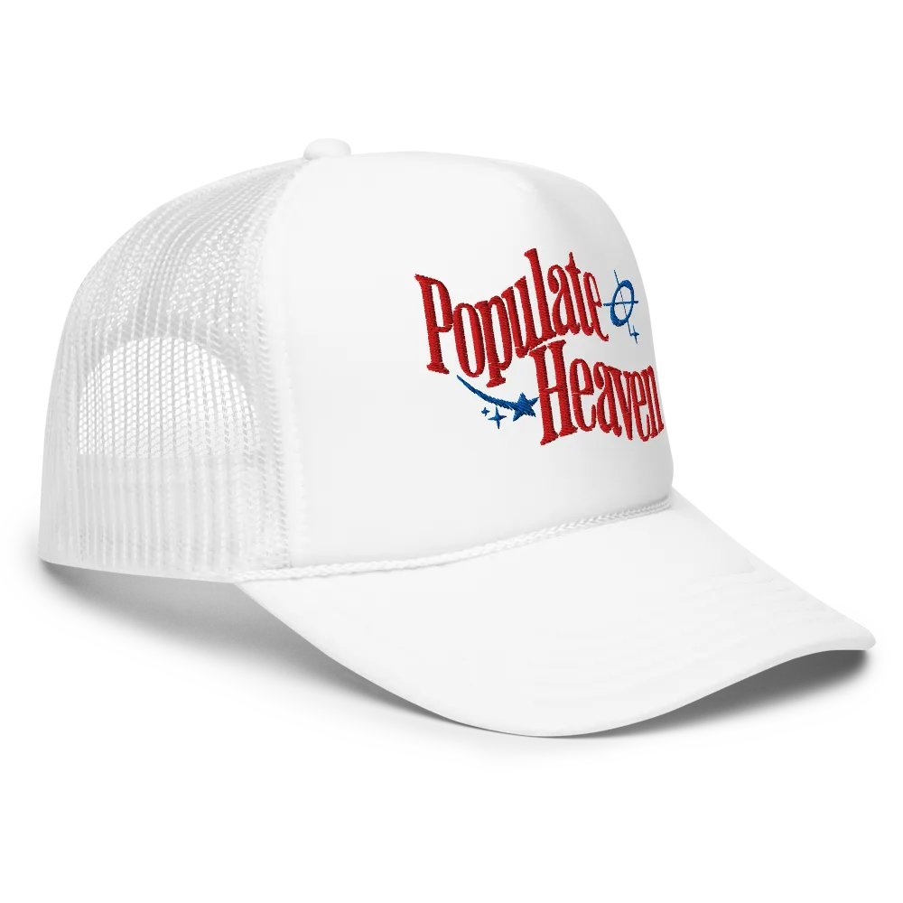 Populate Heaven Hat product image (3)