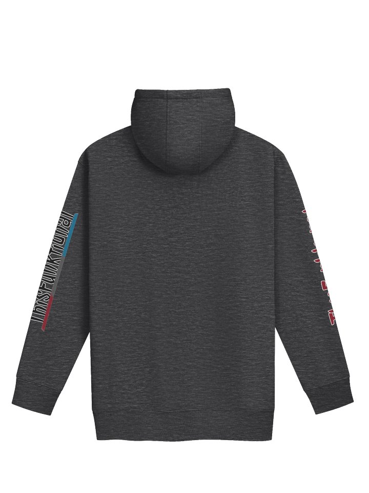 2026 - ThisFunktional Charcoal Hoodie product image (2)