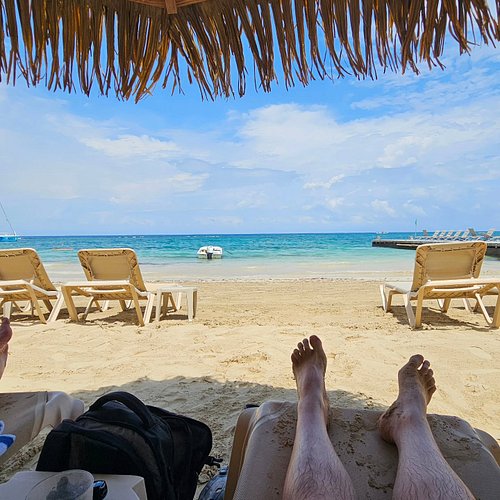 Currently Out Of office... Thankyou for you email, add it to the stack marked To Do Later... 

#enjoyingjamaica🇯🇲