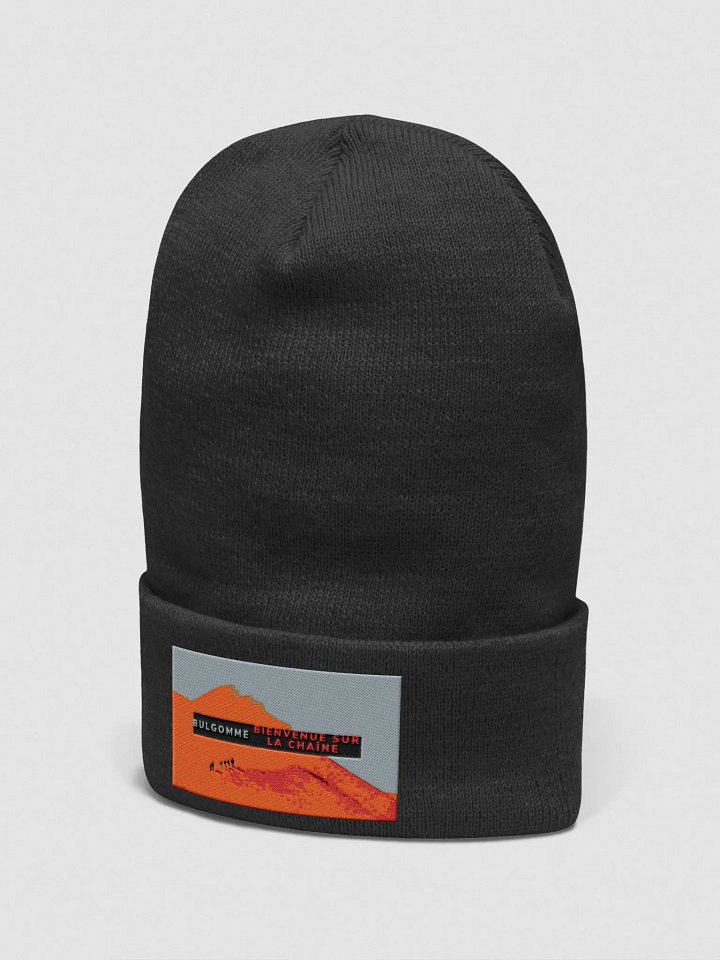 BULGOMME GOMME product image (2)