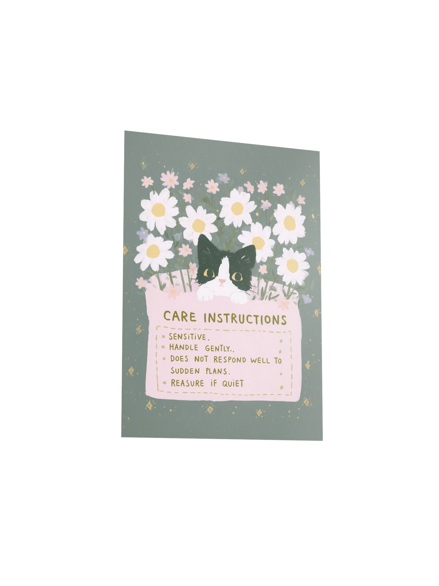 Sensitive Cat Care Instructions Poster product image (23)